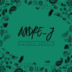 Cover of Kwenda Umbali