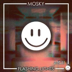 Cover of Flashing Lights
