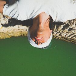 Cover of Todo se ilumina