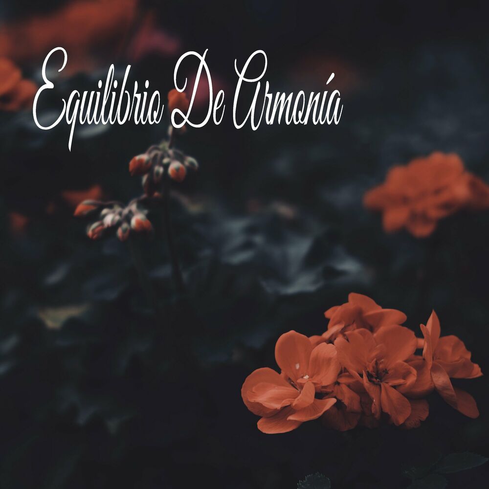 Picture of Equilibrio De Armonía