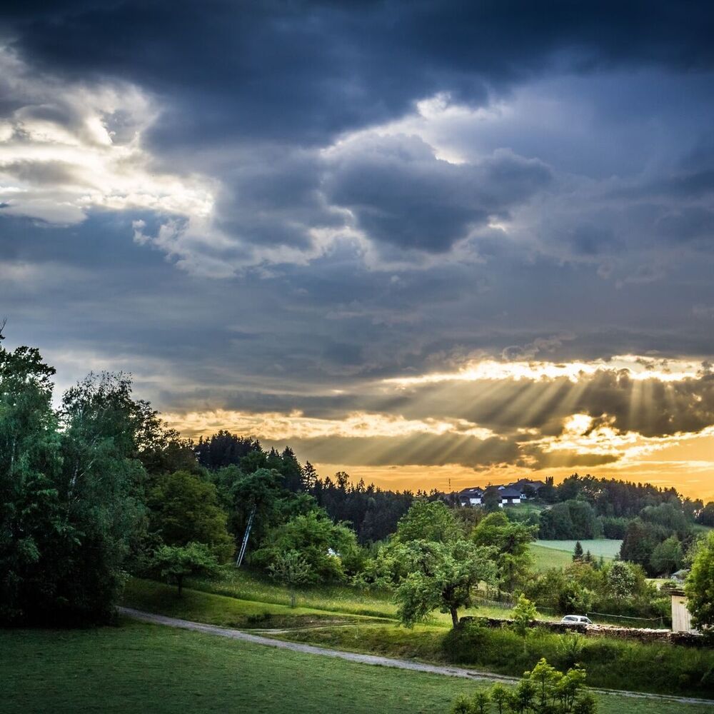 Picture of 50 Peaceful Classical Fall Recordings for Spa & Mindfulness