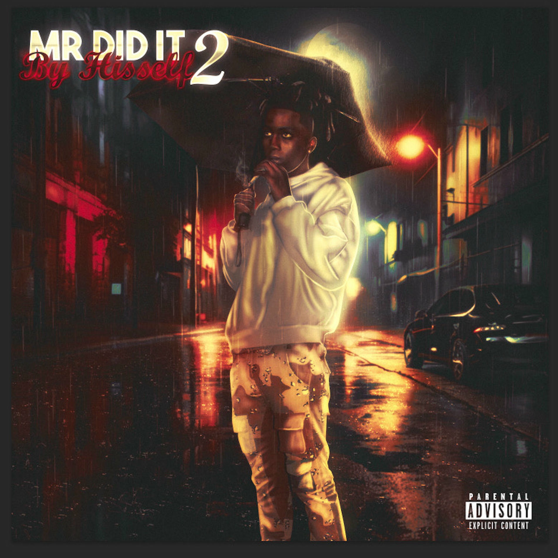 Album cover of Mr Did It By Hisself 2