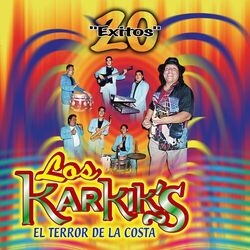 Cover of 20 Éxitos