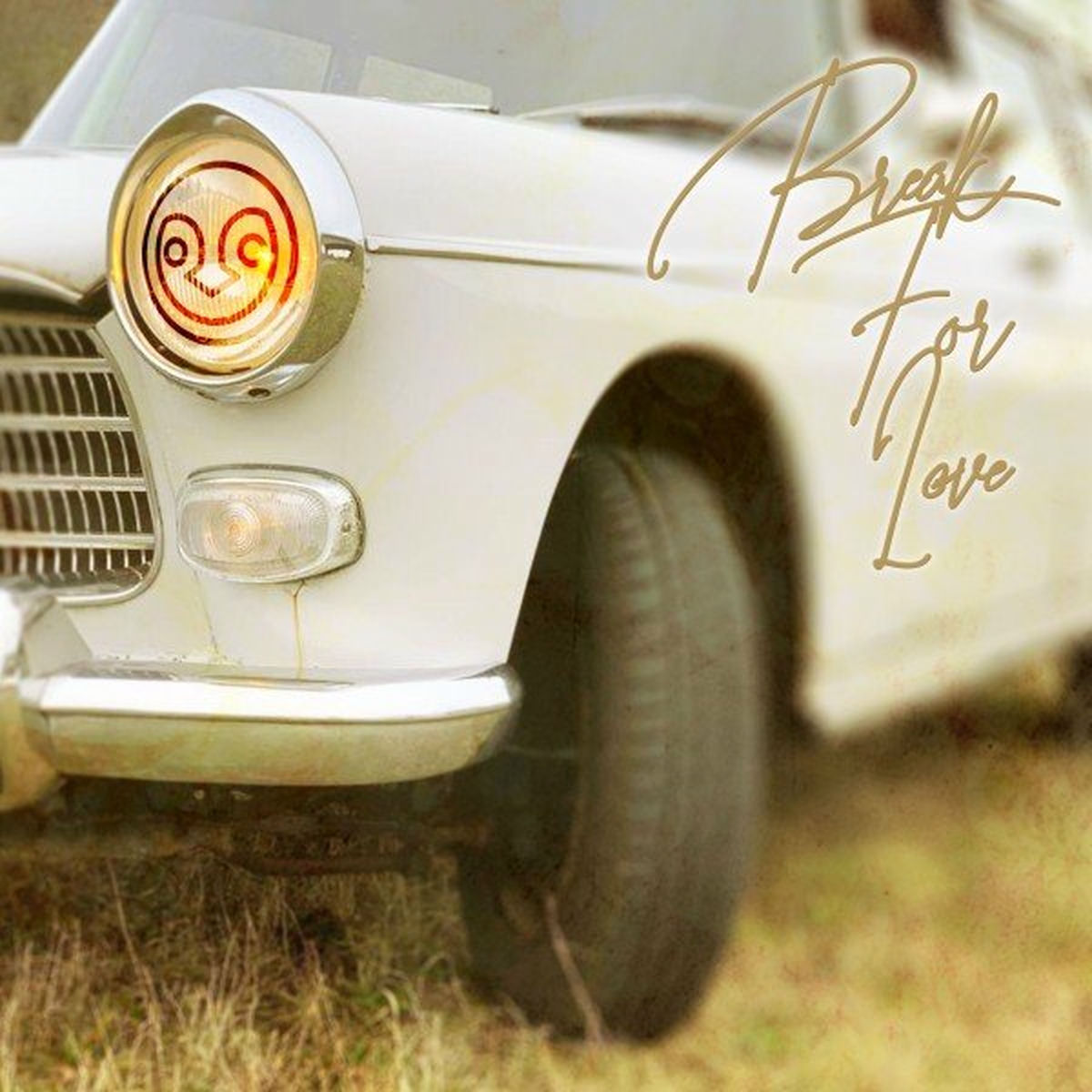 Album cover of Break for Love