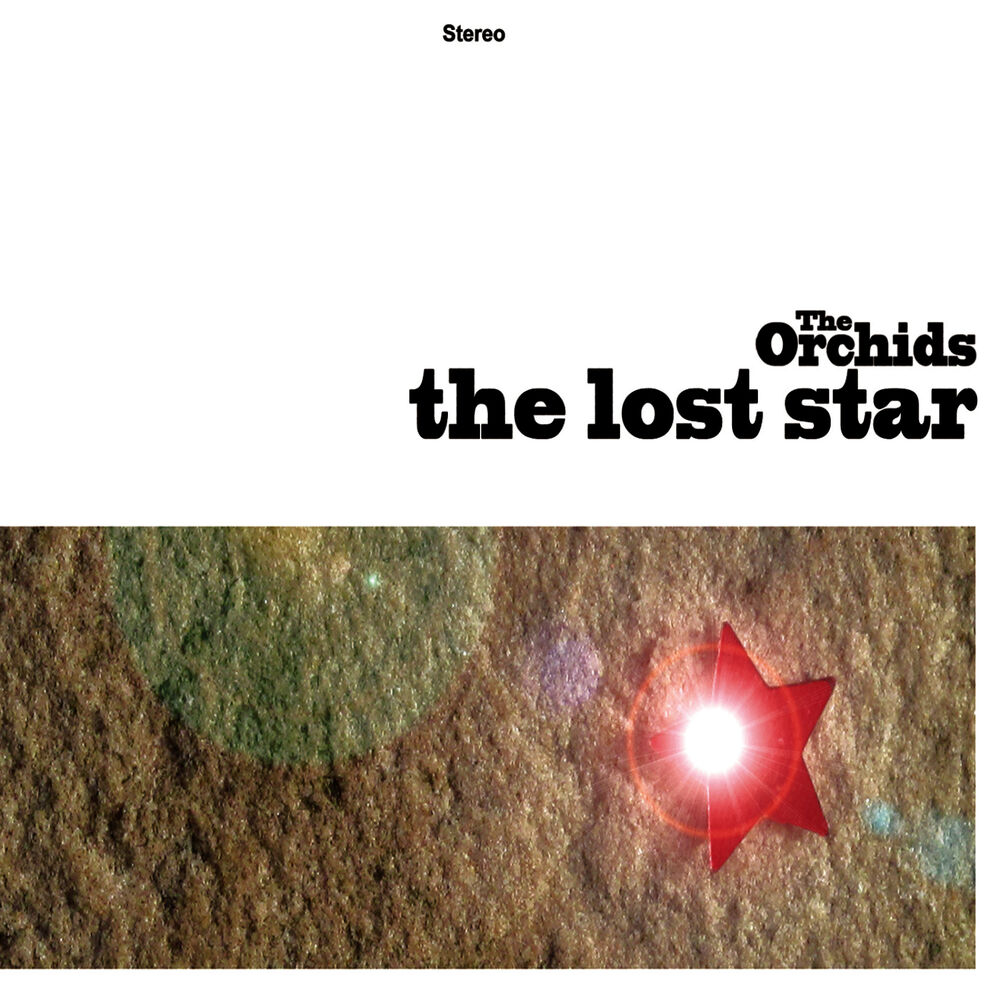 Picture of The Lost Star
