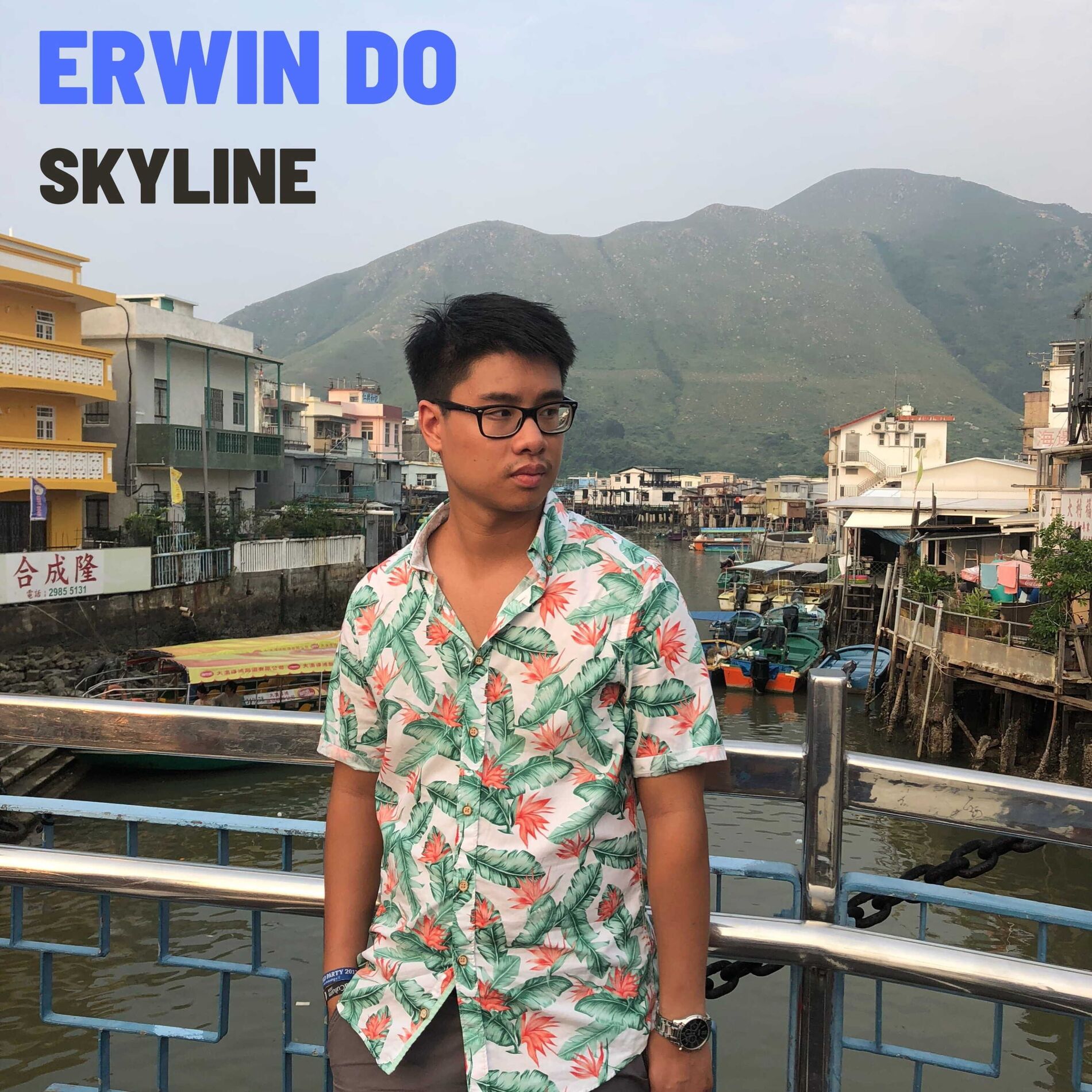 Album cover of Skyline