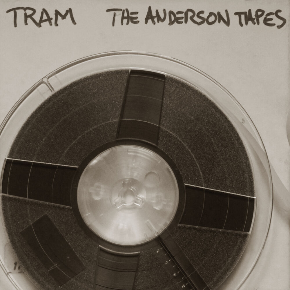 Picture of The Anderson Tapes
