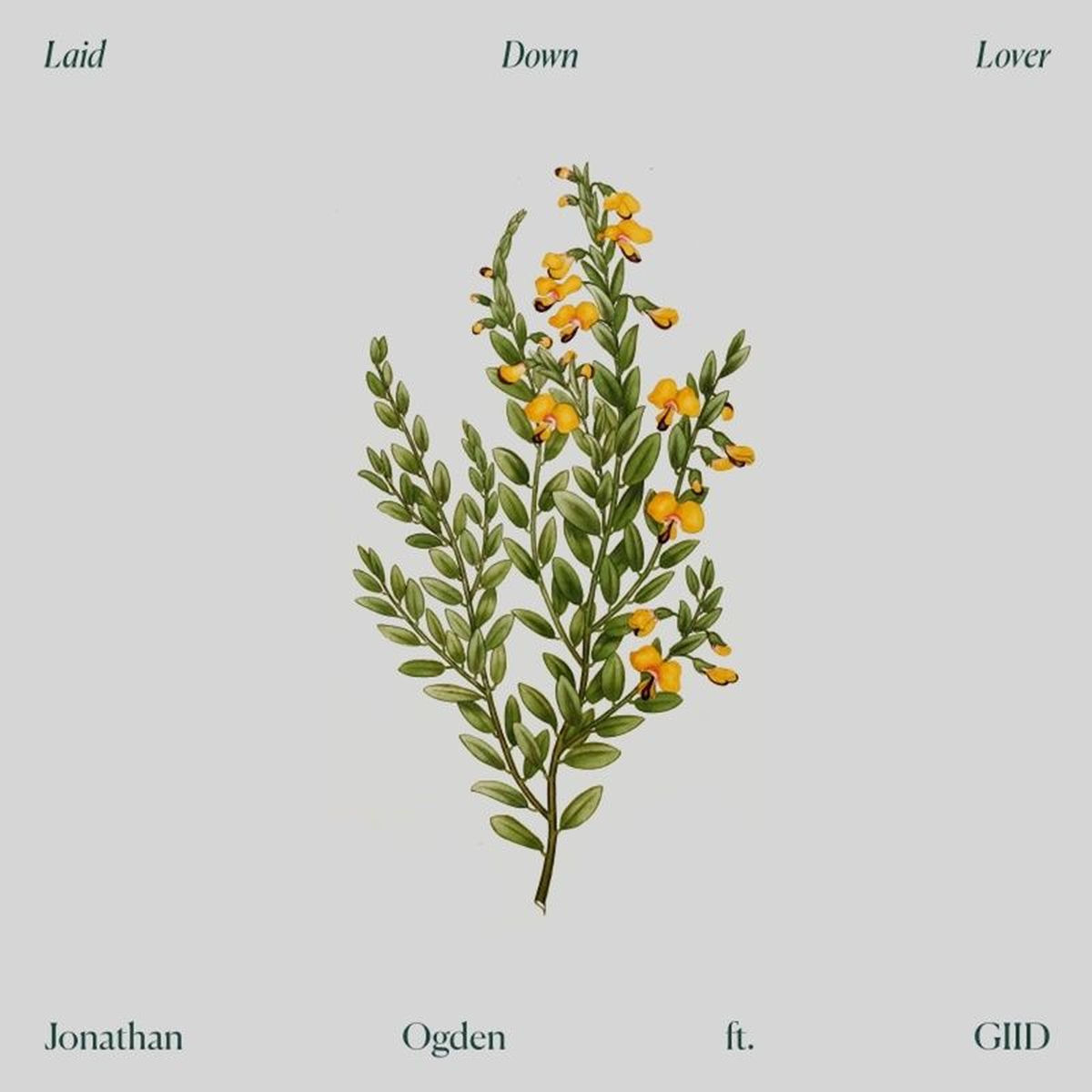 Album cover of Laid Down Lover