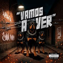 Cover of VAMOS A VER by undefined