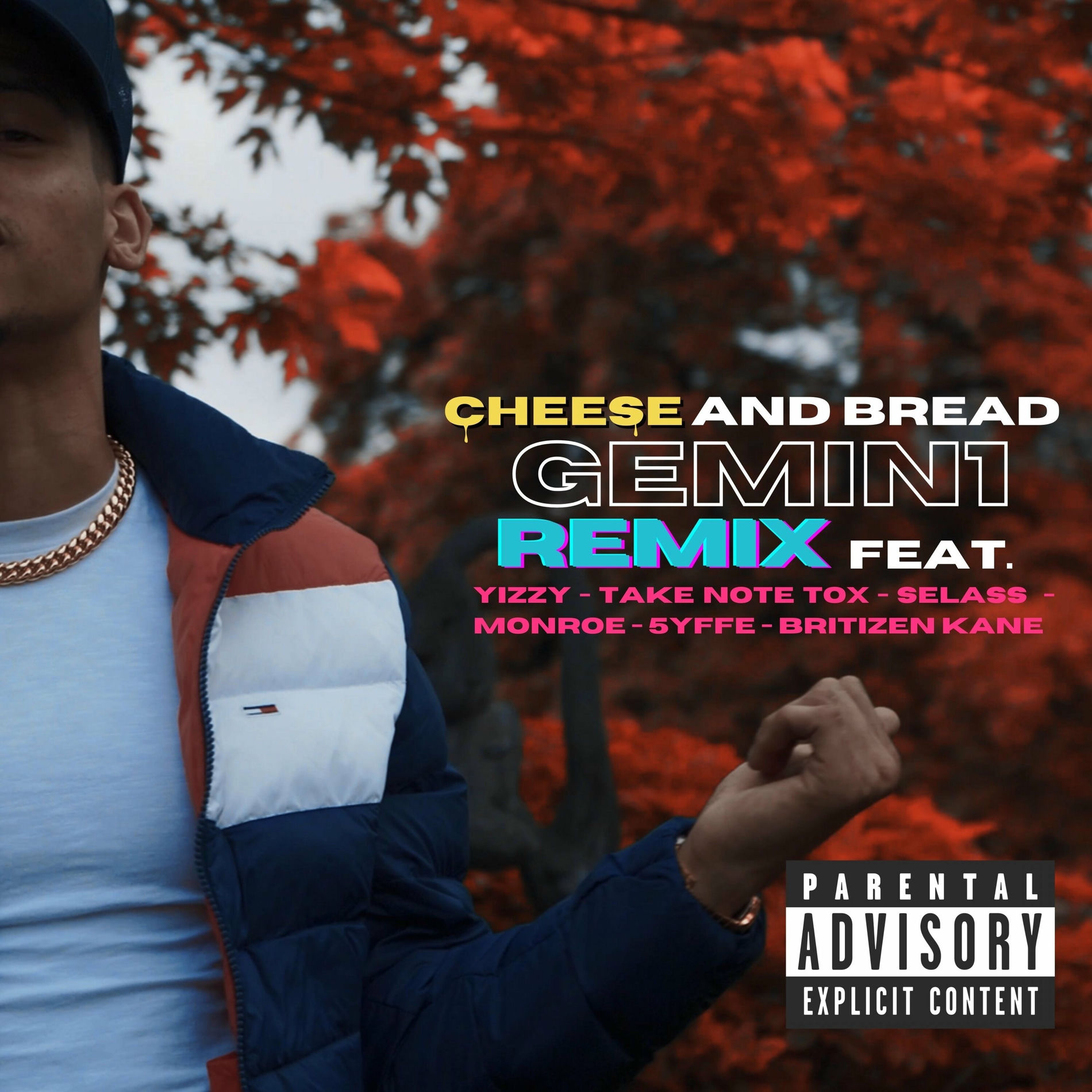 Album cover of Cheese and Bread (Remix)