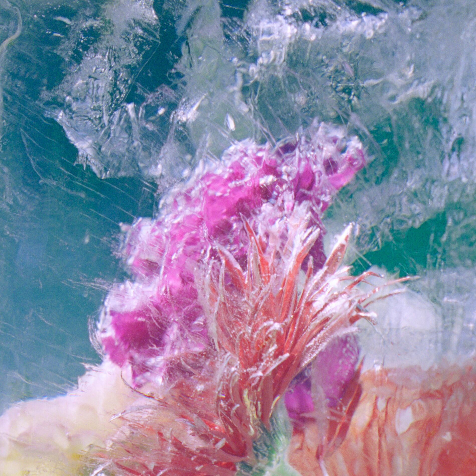 Album cover of Plexiglass