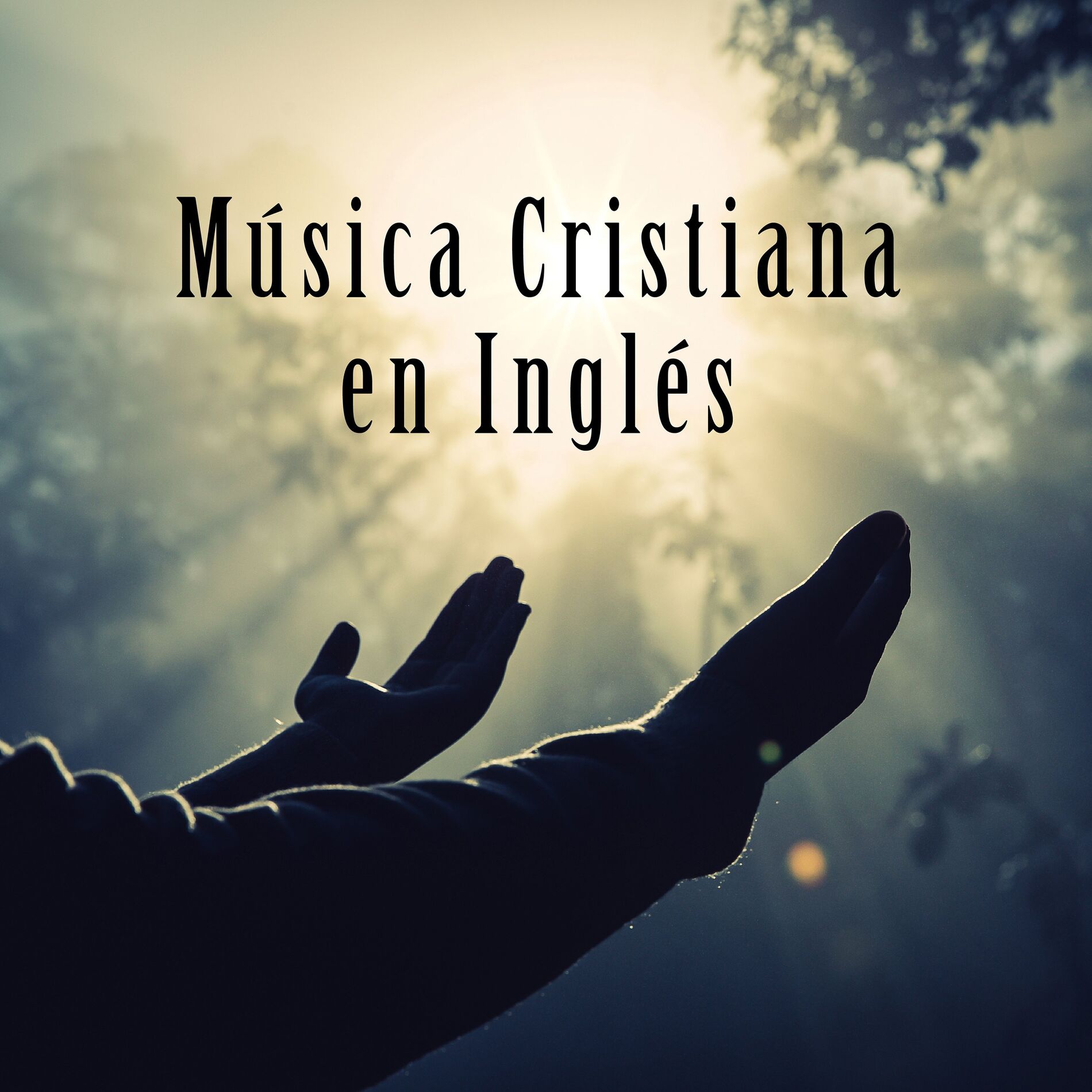 Album cover of Música Cristiana En Inglés