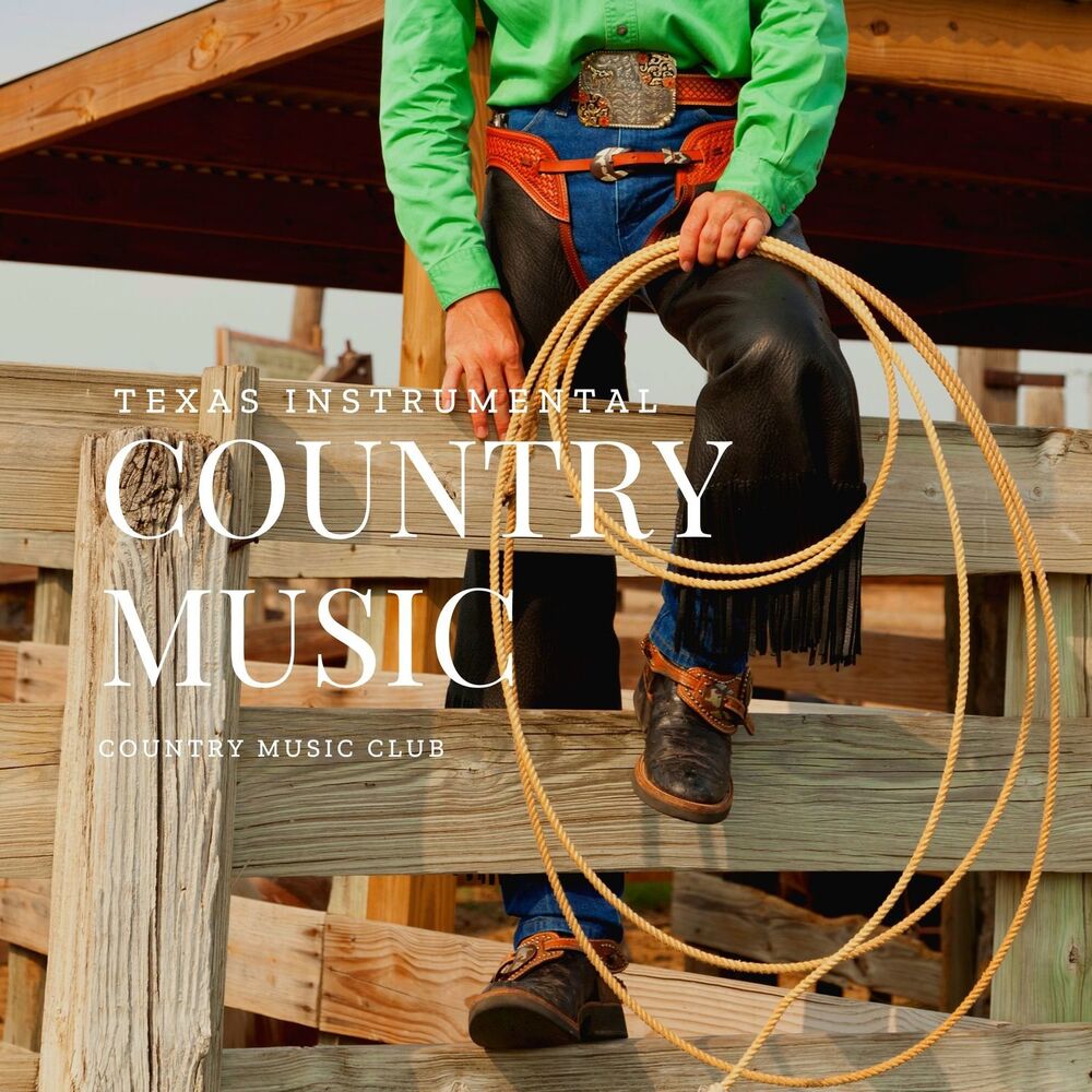 Picture of Texas Instrumental Country Music