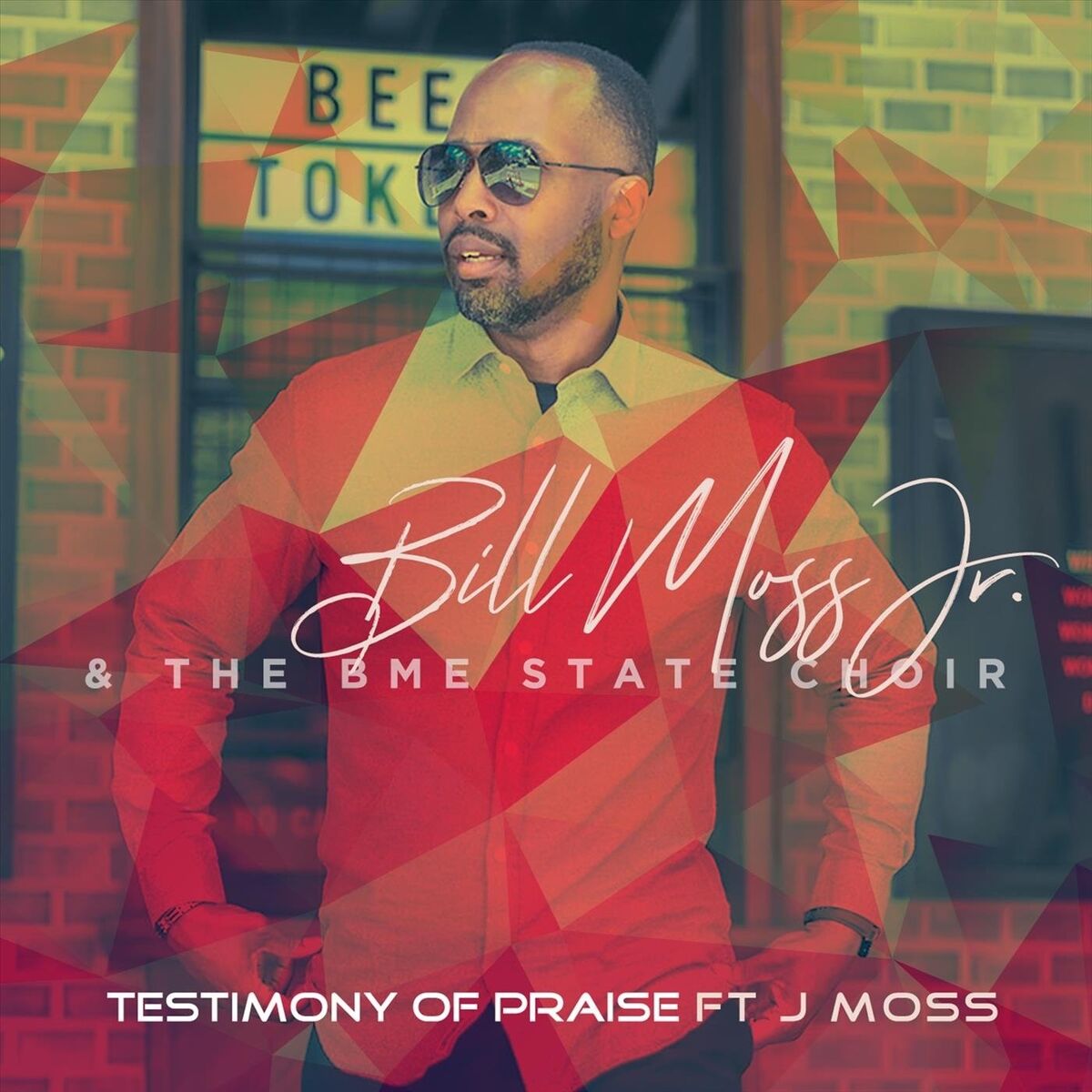Album cover of Testimony of Praise