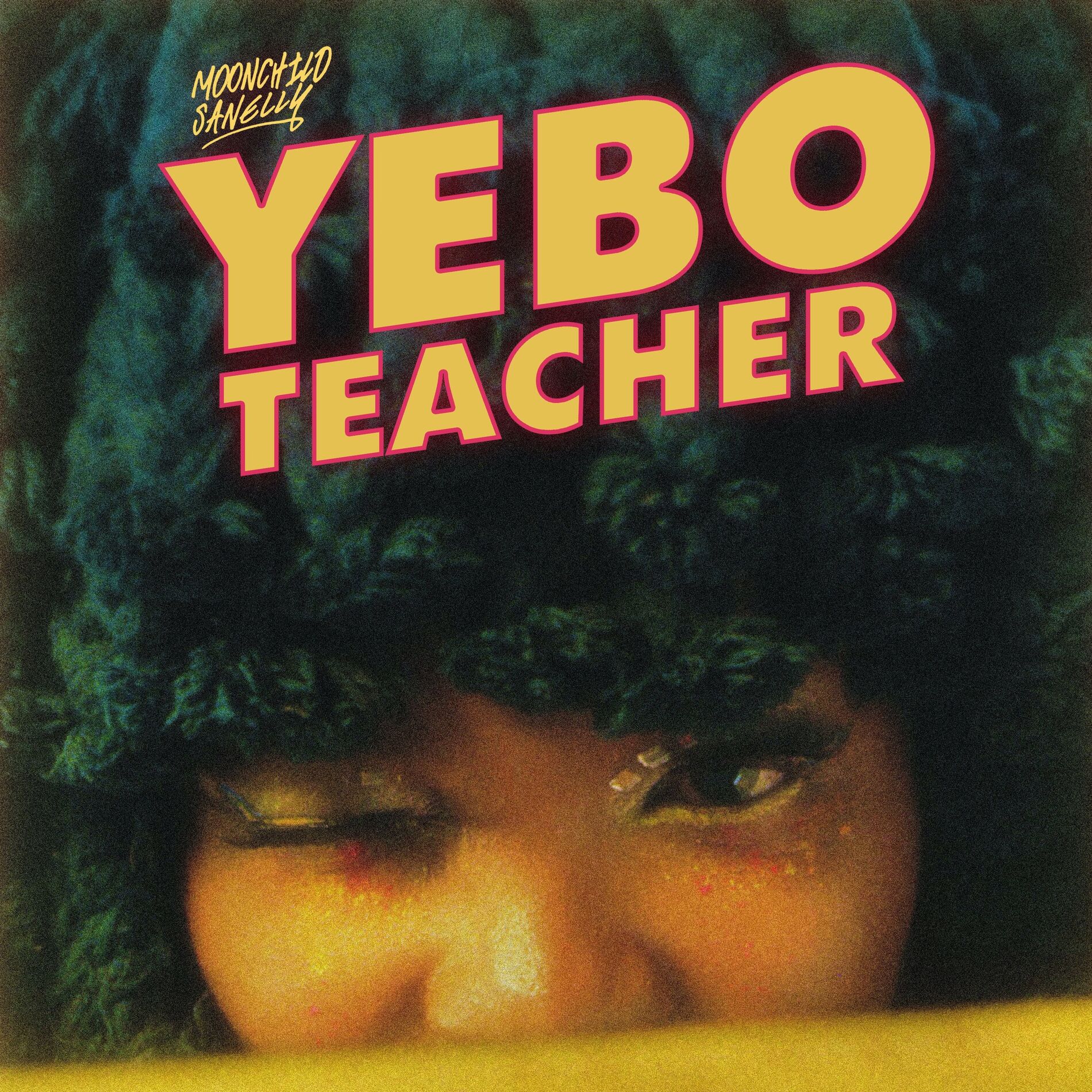 Album cover of Yebo Teacher