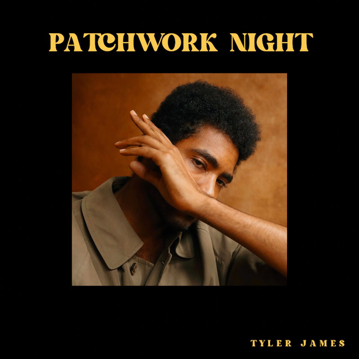Album cover of Patchwork Night