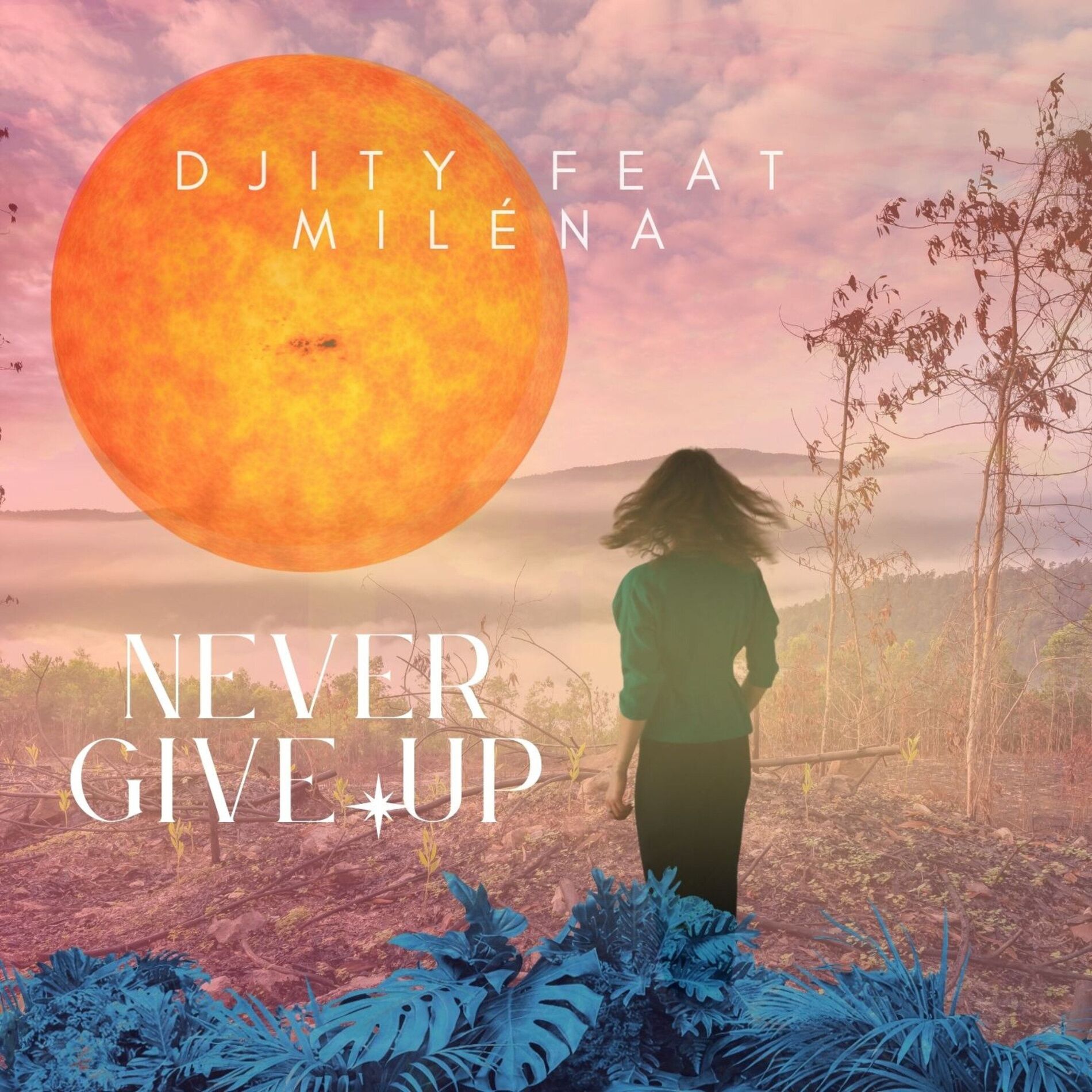 Album cover of Never Give Up