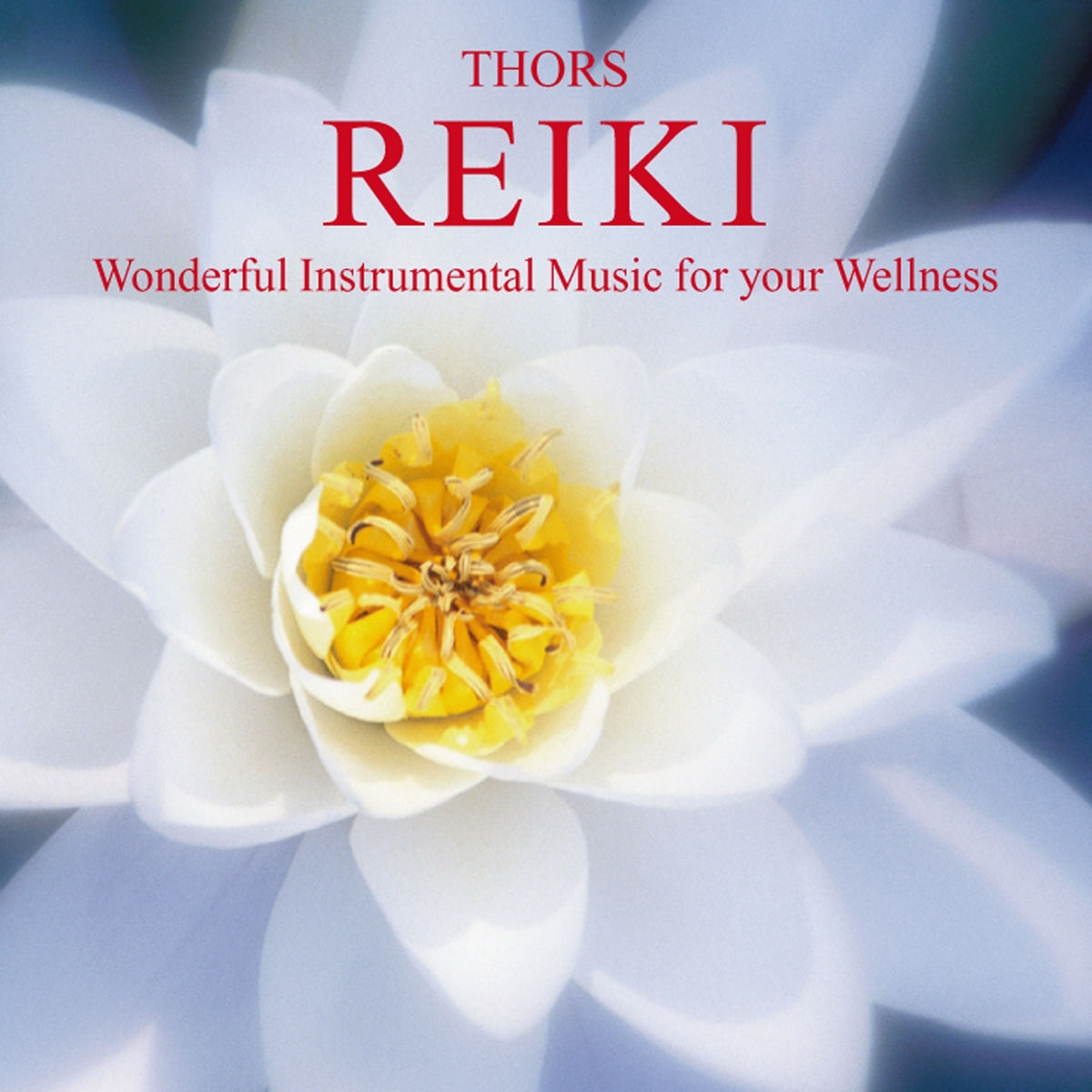 Album cover of Reiki: Wonderful Instrumental Music