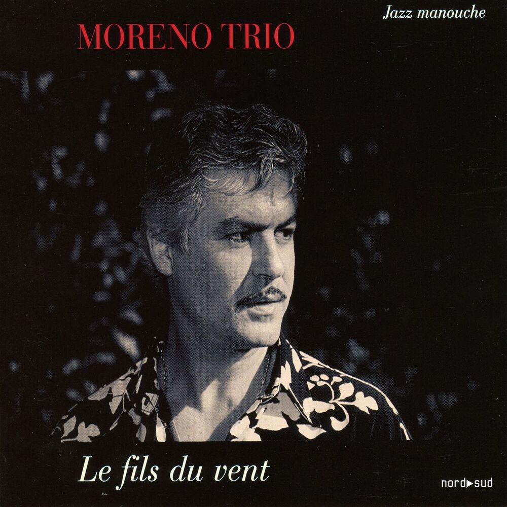 Picture of Le fils du vent