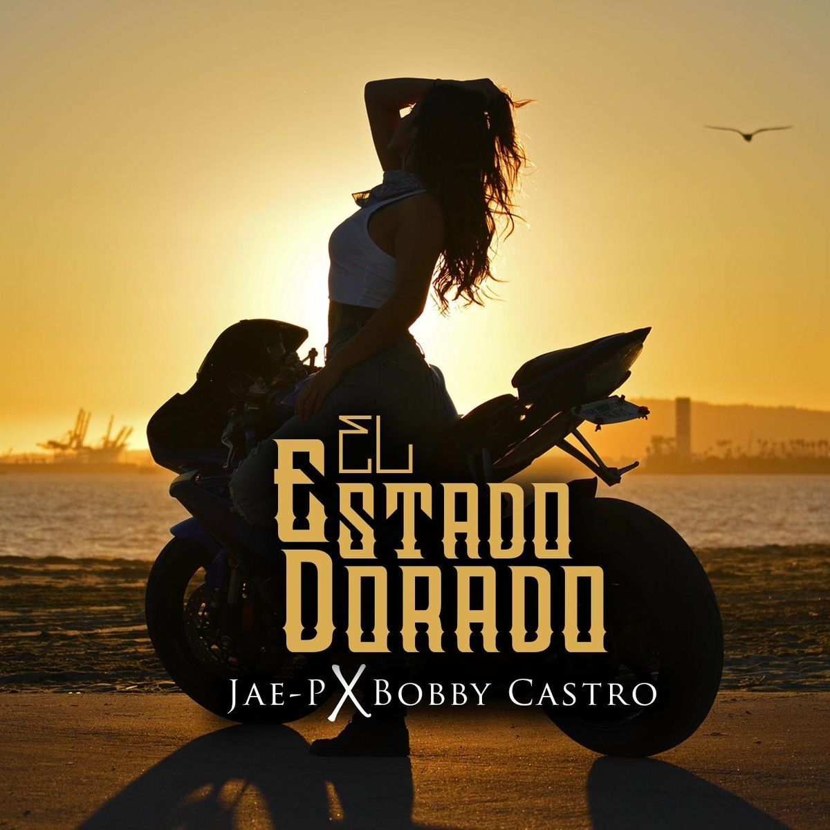 Album cover of El Estado Dorado