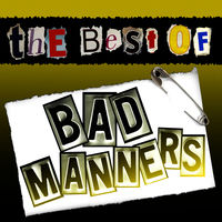 【レコード】BAD MANNERS / stupidity　ピクチャーレコード Stupidity (Bad Manners album) - Wikipedia