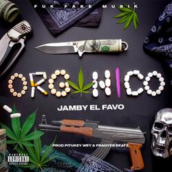 Cover of Orgánico