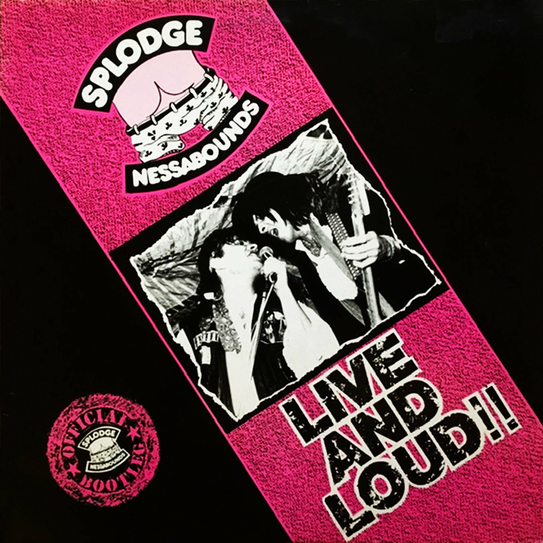 Album cover of Live And Loud!!