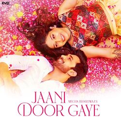 Cover of Jaani Door Gaye