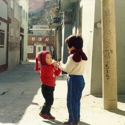 Cover of The Film