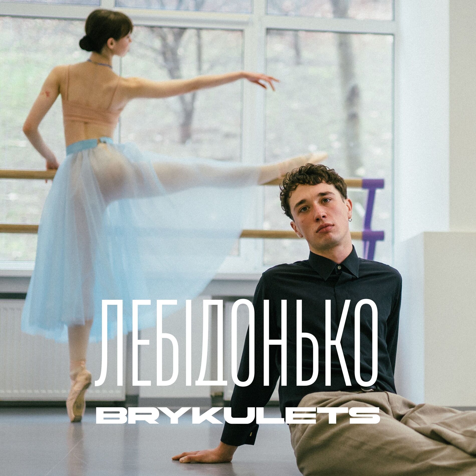 Album cover of Лебідонько