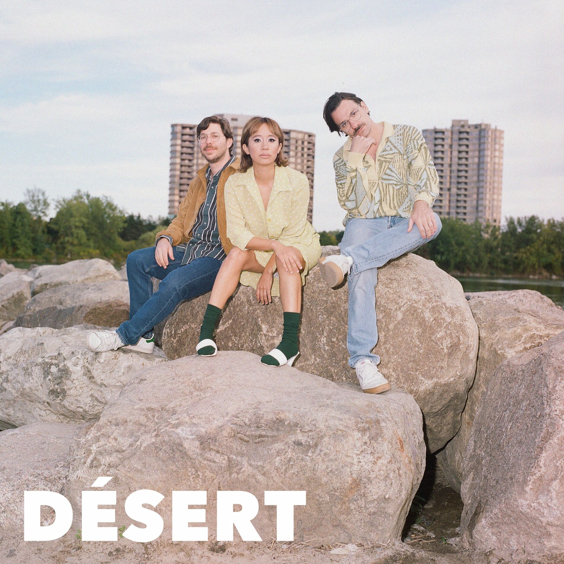 Album cover of Désert