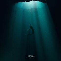 Cover of Down Below