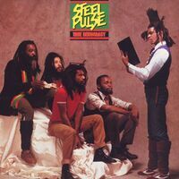 Steel Pulse - True Democracy | Deezer