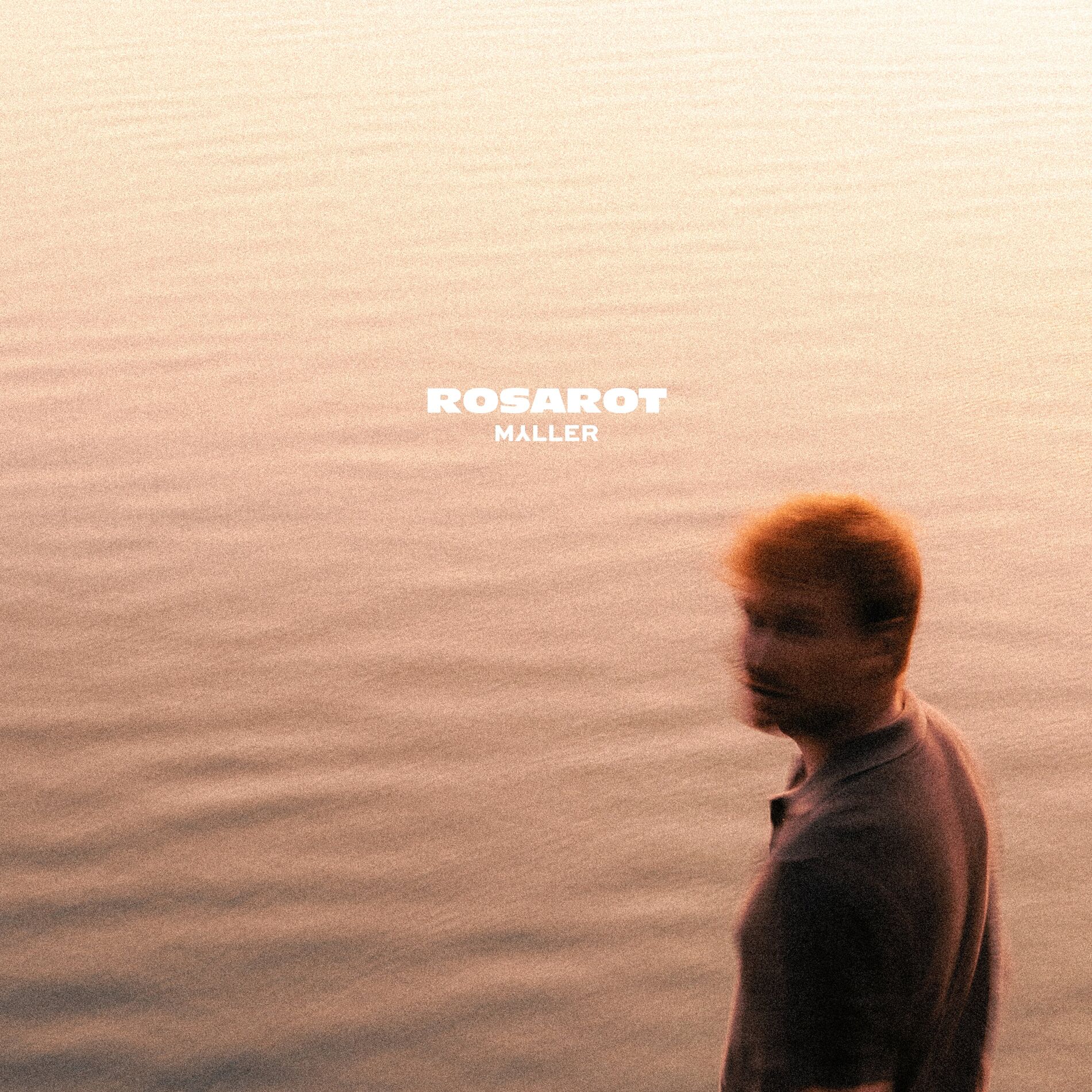 Album cover of Rosarot