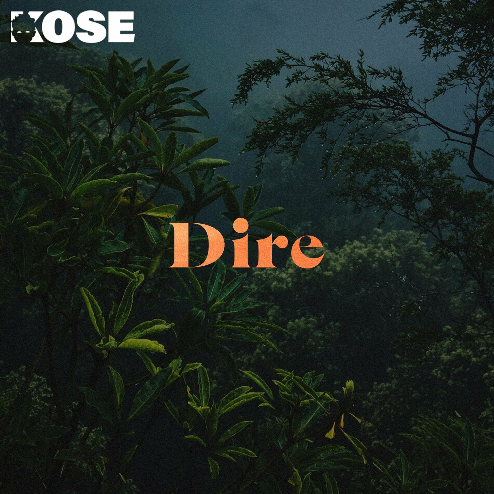 Album cover of DIRE
