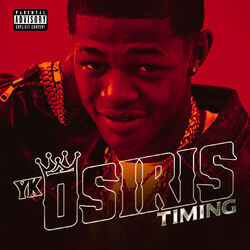 Cover of Timing