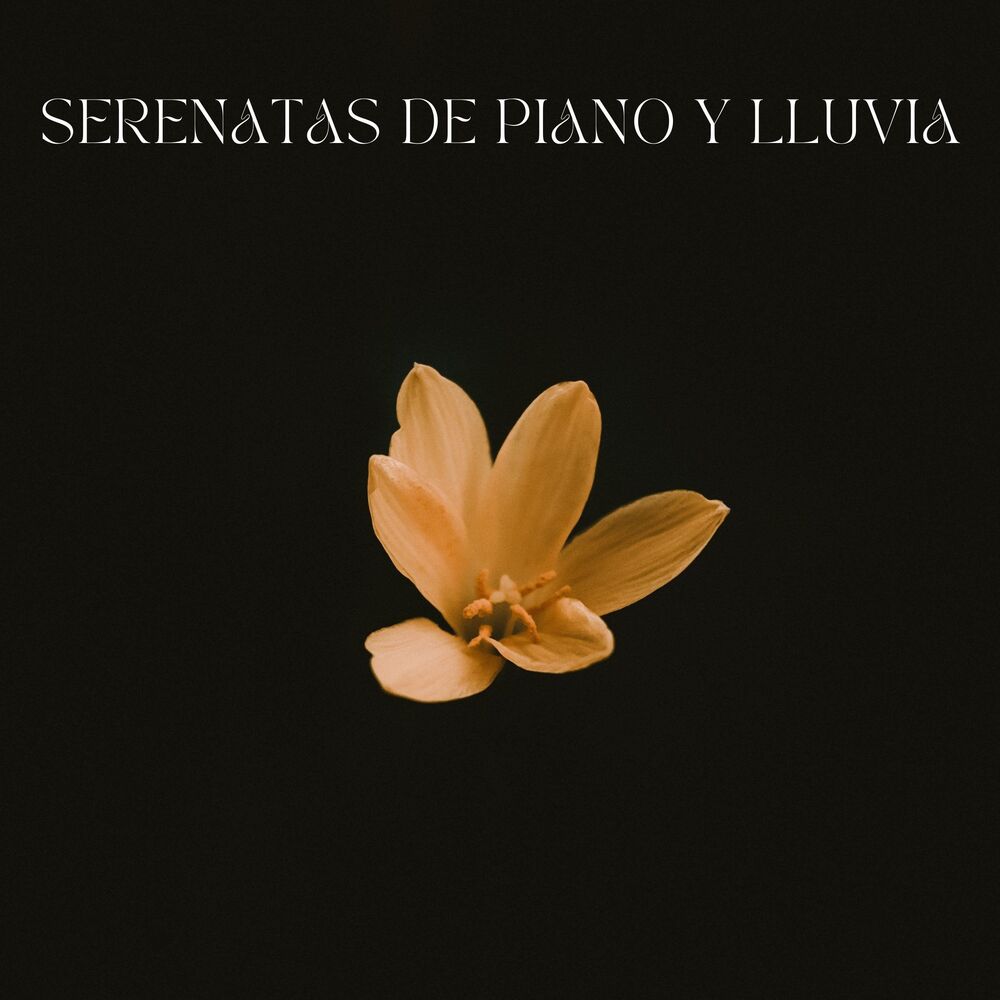Picture of Serenatas De Piano y Lluvia