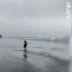 Cover of Overtake