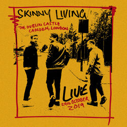 Cover of Live From The Dublin Castle