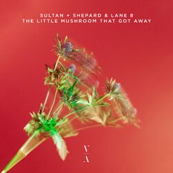 Cover of The Little Mushroom That Got Away