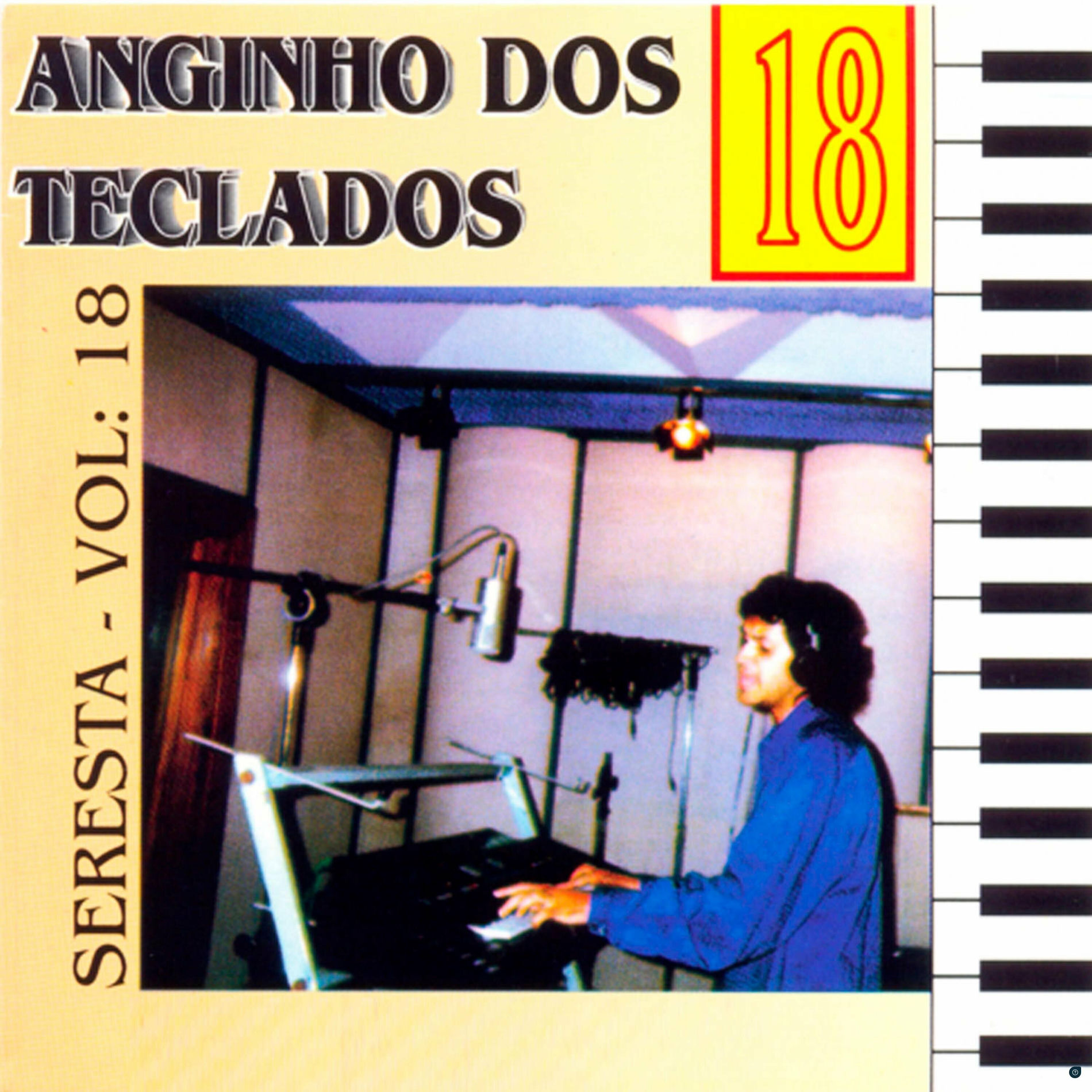 Album cover of Nessa Solidão