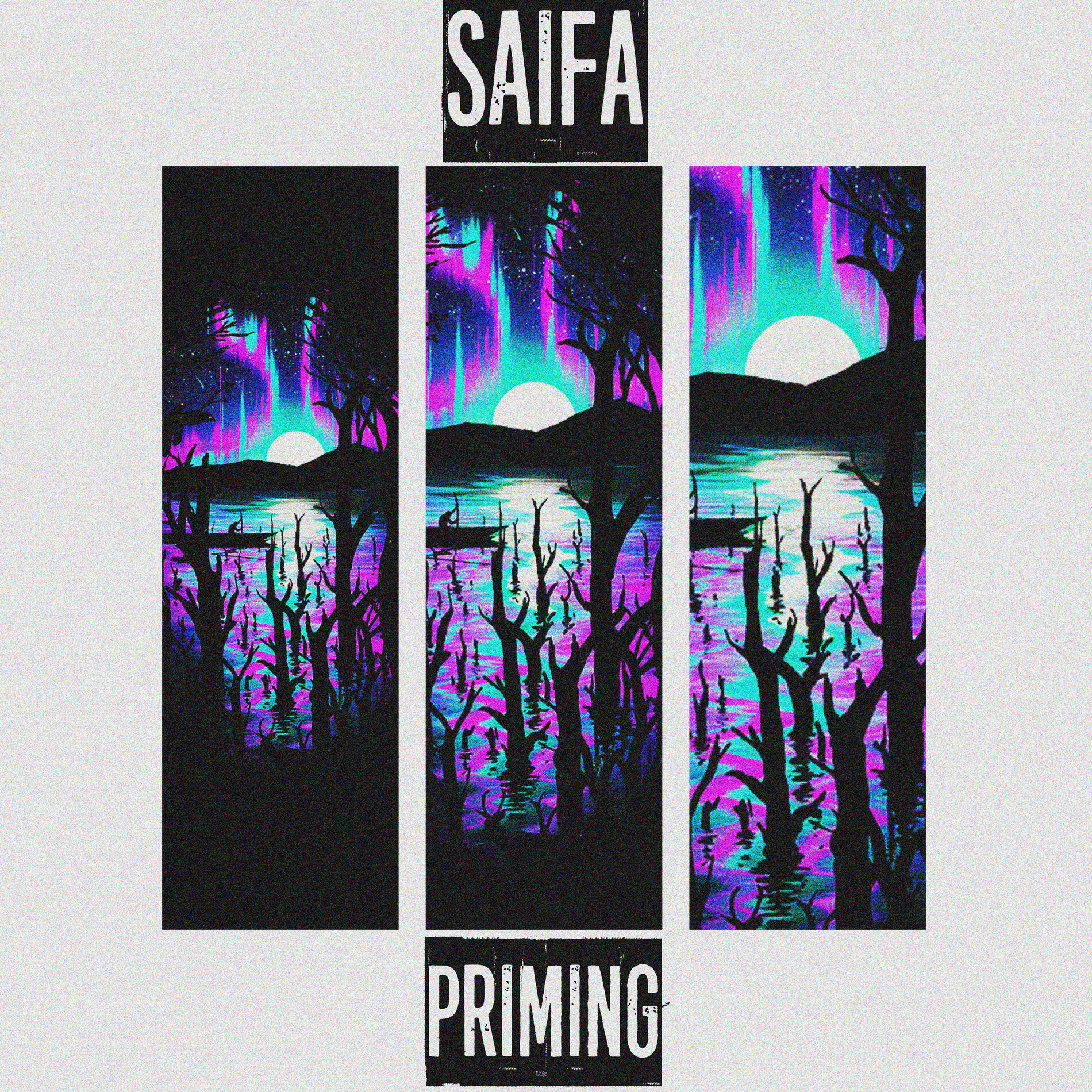 Album cover of Priming