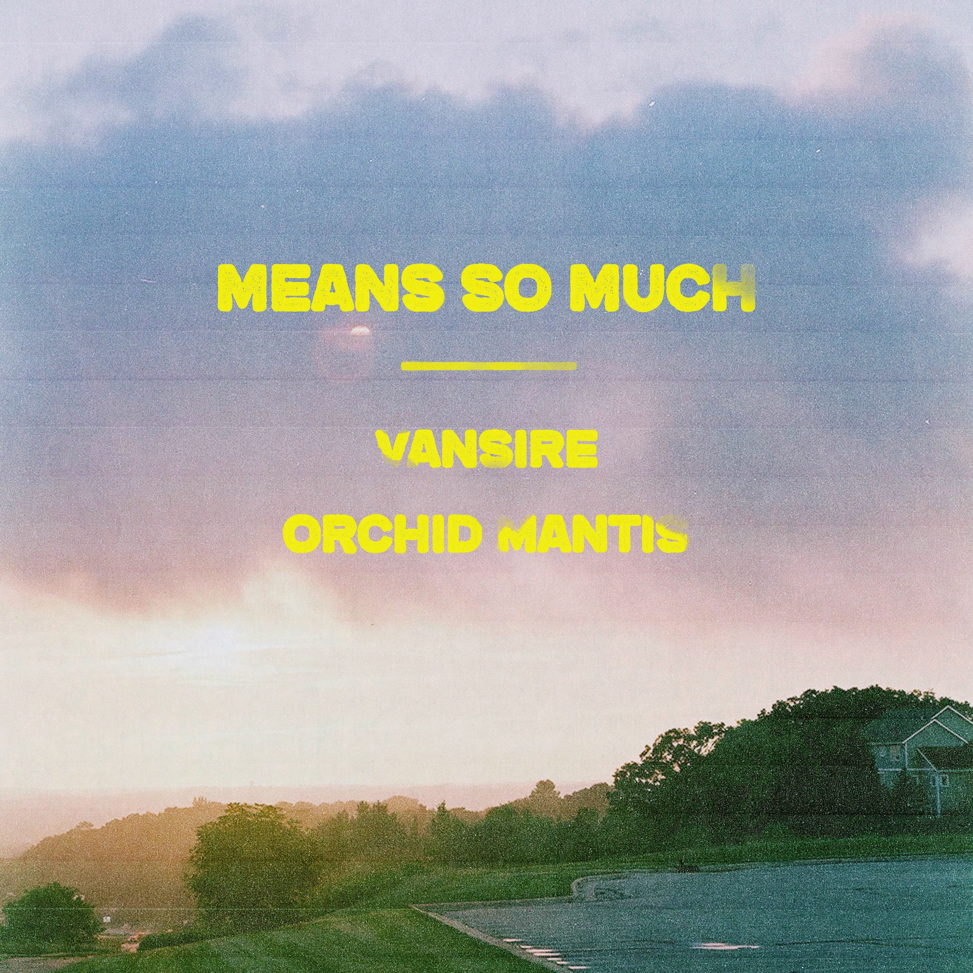 Album cover of Means So Much