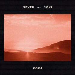 Cover of coca