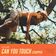 Can You Touch (Stripped) by Elley Duhe album cover
