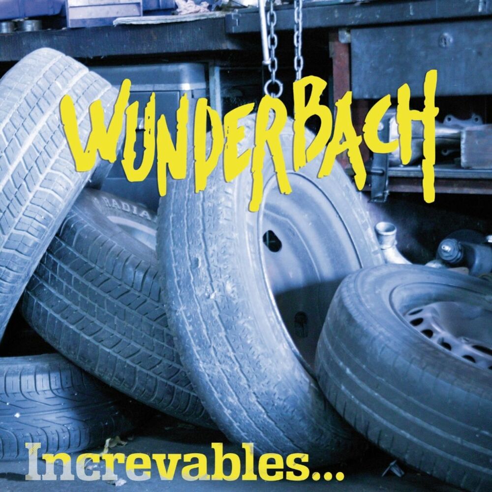 Picture of Increvables