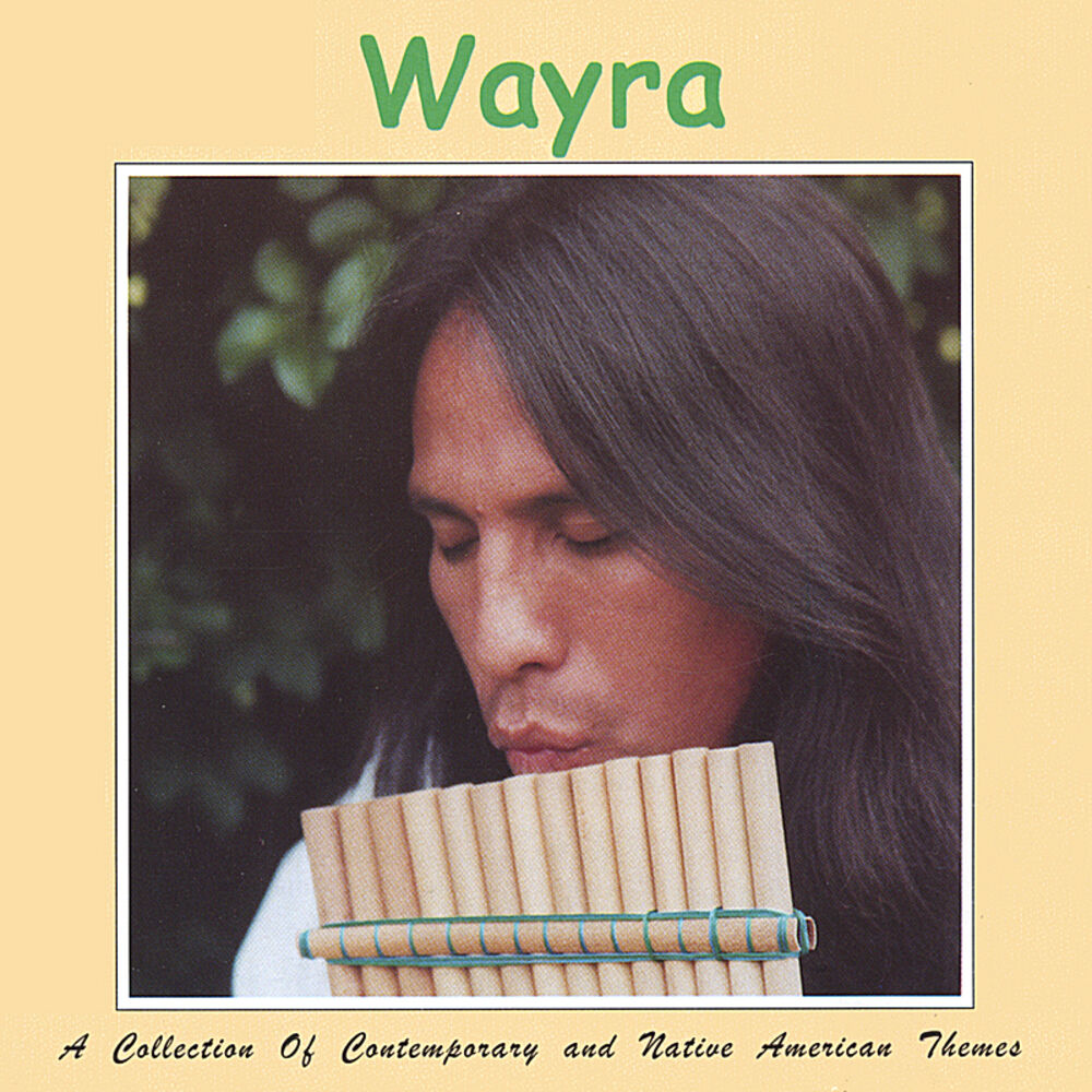 Picture of A Collection Of Contemporary And Native American Themes.