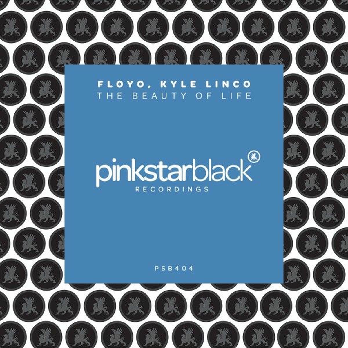 Album cover of The Beauty of Life