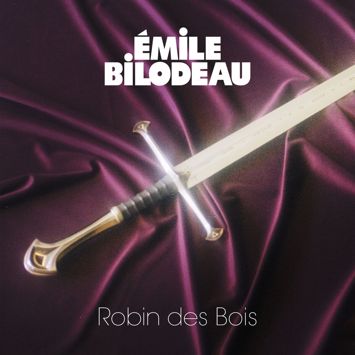 Album cover of Robin des Bois