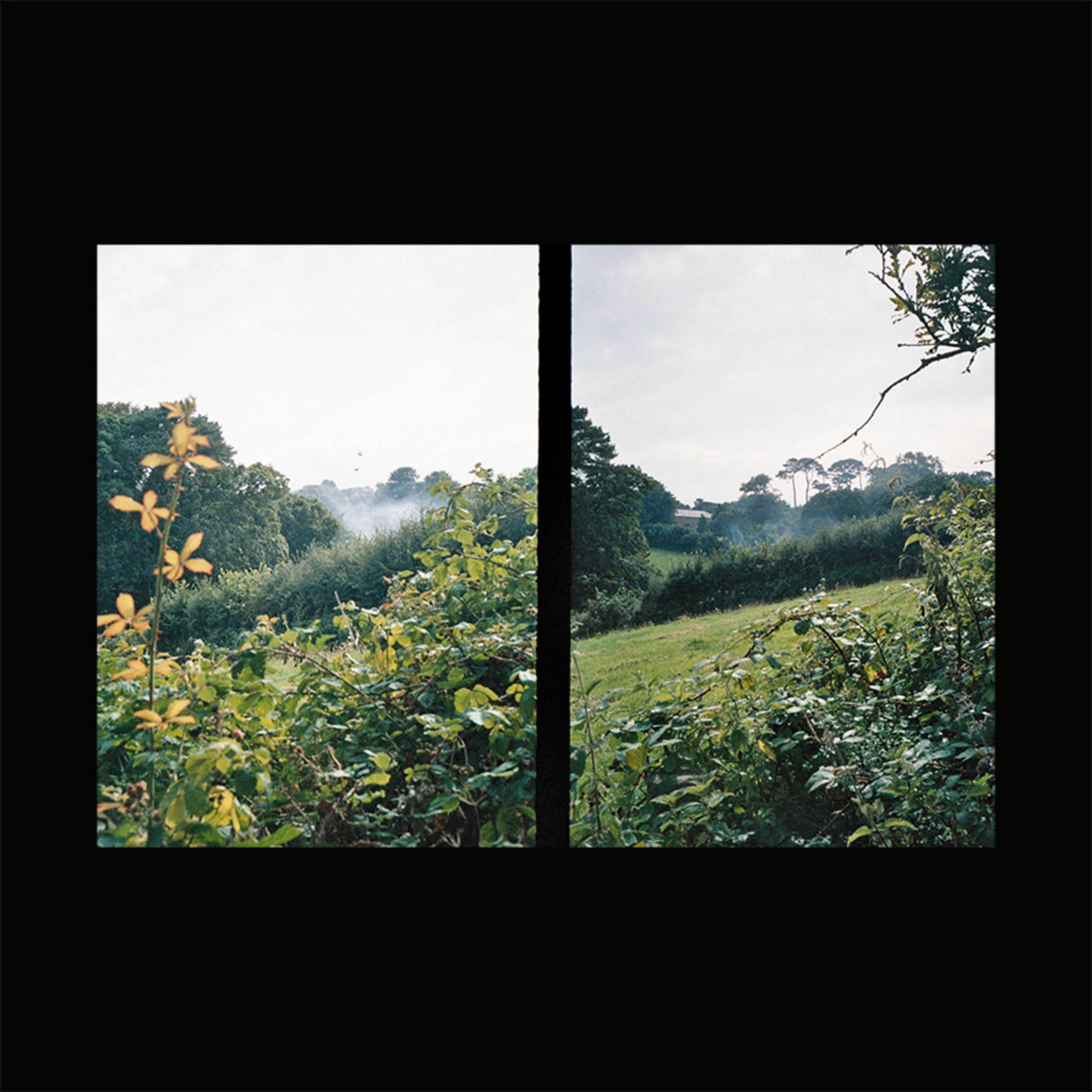 Album cover of Easing Nameless